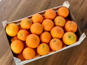 Milano, la storia di Gianna: «Mia mamma, essendo povere, portava i vecchi giornali al fruttivendolo in cambio della frutta, soprattutto arance, “le arance del Corriere”»